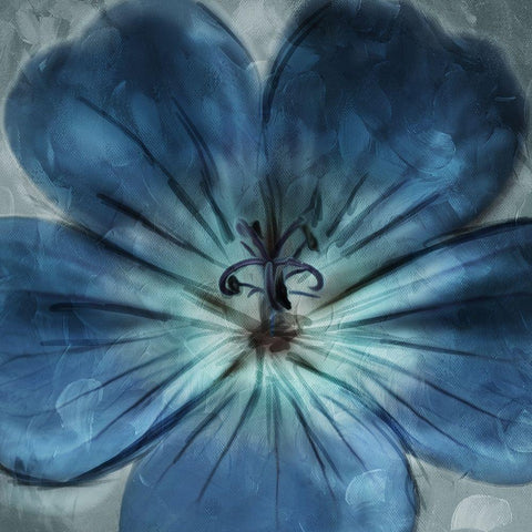 Uplifting Blue Flower Black Modern Wood Framed Art Print by Villa, Mlli