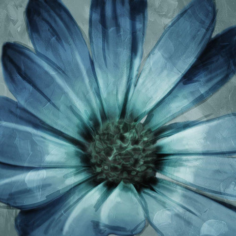 Uplifting Blue Flower Mate Black Modern Wood Framed Art Print with Double Matting by Villa, Mlli