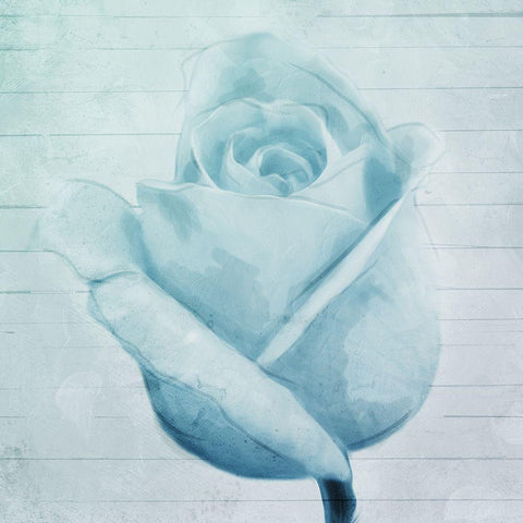 Rose Bloom White Modern Wood Framed Art Print by Villa, Mlli