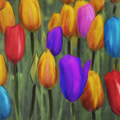 Tulips Patch White Modern Wood Framed Art Print with Double Matting by Villa, Mlli