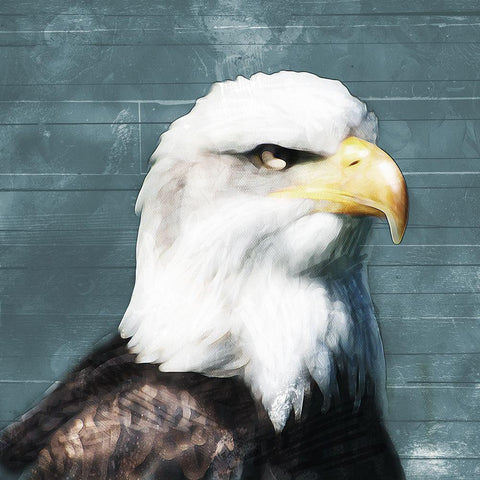 Eagle Eye Black Ornate Wood Framed Art Print with Double Matting by Villa, Mlli