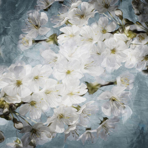 White Flowers With Blue Black Modern Wood Framed Art Print by Villa, Mlli