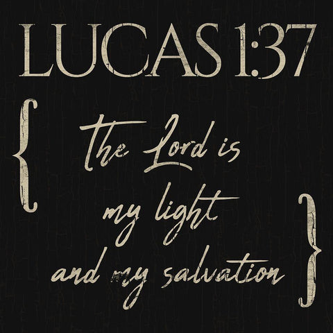 Lucas The Lord White Modern Wood Framed Art Print by Villa, Mlli