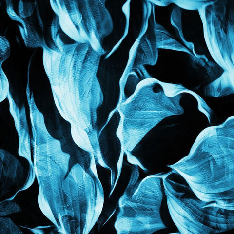 Blue Hue Leaves White Modern Wood Framed Art Print by Villa, Mlli