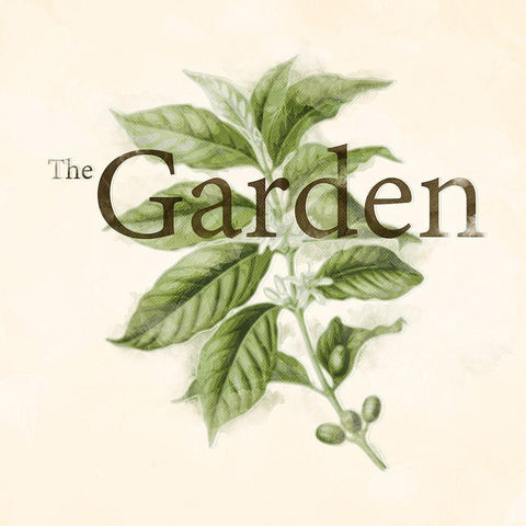 The Garden Flower Black Modern Wood Framed Art Print by Villa, Mlli