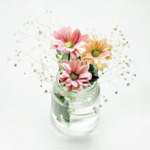 Flowers In A Jar White Modern Wood Framed Art Print with Double Matting by Villa, Mlli