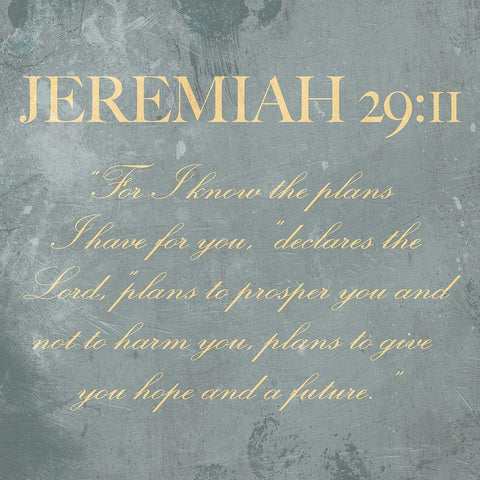 Jeremiah 29:11 Black Ornate Wood Framed Art Print with Double Matting by Villa, Mlli