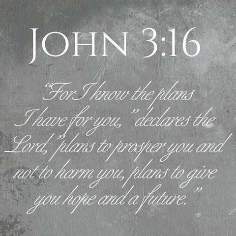 John 3:16 White Modern Wood Framed Art Print with Double Matting by Villa, Mlli