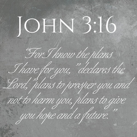 John 3:16 Black Modern Wood Framed Art Print with Double Matting by Villa, Mlli