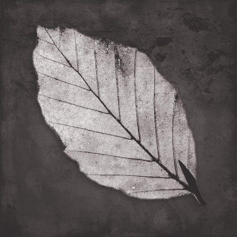 Classic Leaf Black Modern Wood Framed Art Print with Double Matting by Villa, Mlli