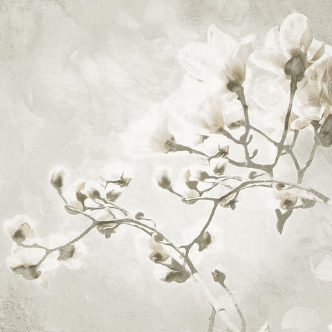 Cream Tree of White Flowers 1 White Modern Wood Framed Art Print with Double Matting by Villa, Milli
