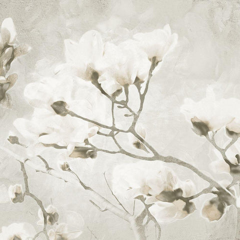 Cream Tree of White Flowers 2 Black Modern Wood Framed Art Print by Villa, Milli
