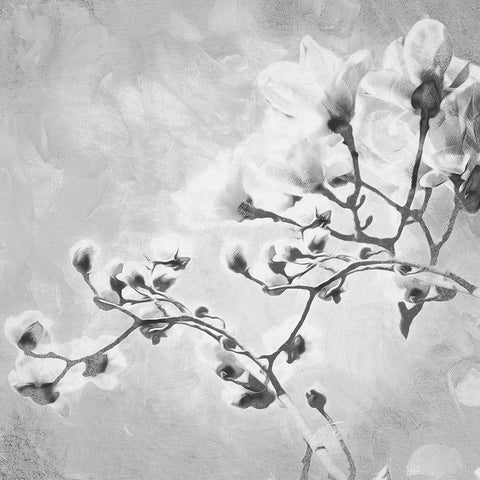 Tree of White Flowers BW 1 Black Modern Wood Framed Art Print by Villa, Milli