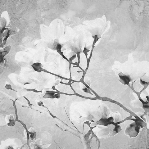 Tree of White Flowers BW 2 White Modern Wood Framed Art Print by Villa, Milli