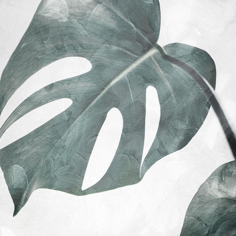 Relaxing Off The Stem Black Modern Wood Framed Art Print with Double Matting by Villa, Mlli