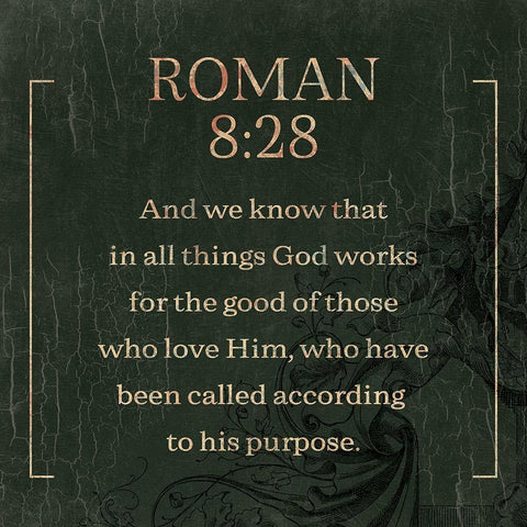 Roman Swamp White Modern Wood Framed Art Print with Double Matting by Villa, Milli