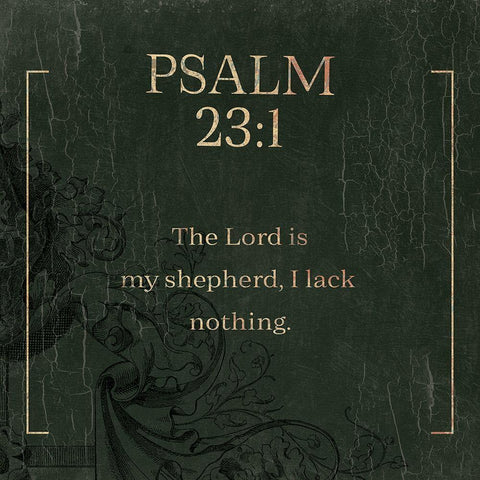 Psalm 231 Swamp Black Ornate Wood Framed Art Print with Double Matting by Villa, Milli