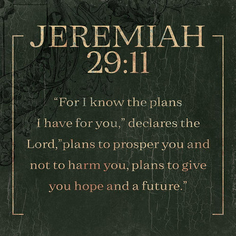 Jeremiah Swamp White Modern Wood Framed Art Print by Villa, Milli