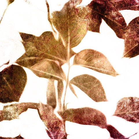 Fall Universal Leaves White Modern Wood Framed Art Print with Double Matting by Villa, Milli
