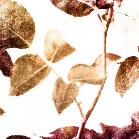 Fall Universal Leaves 2 White Modern Wood Framed Art Print by Villa, Milli