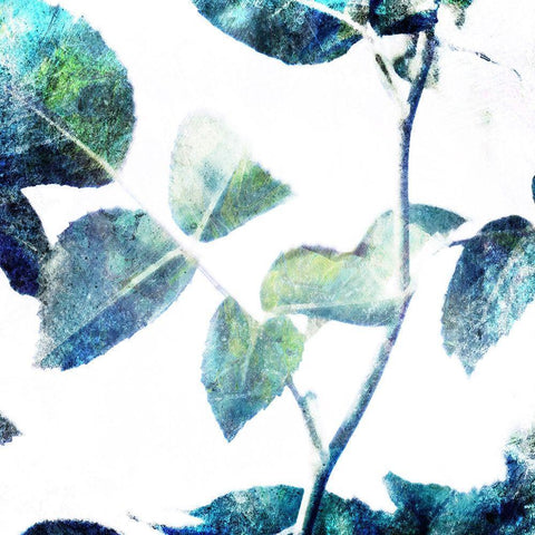 Universal Leaves 2 Black Modern Wood Framed Art Print with Double Matting by Villa, Milli
