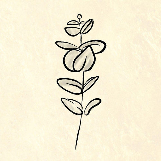 Image Only