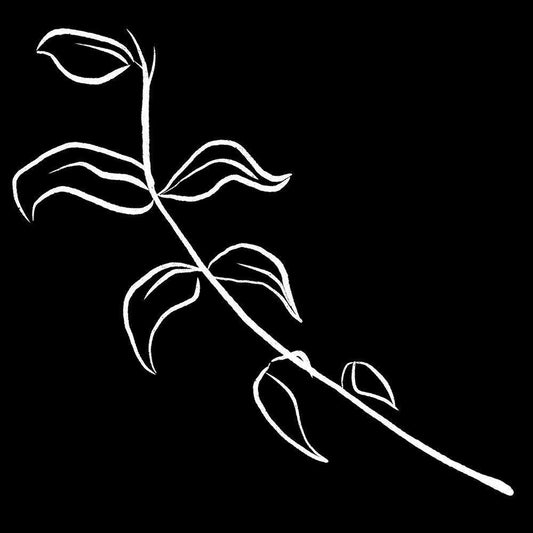 Image Only