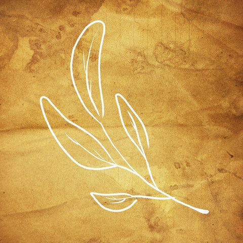 Simple ReGold Flower White Modern Wood Framed Art Print by Villa, Milli