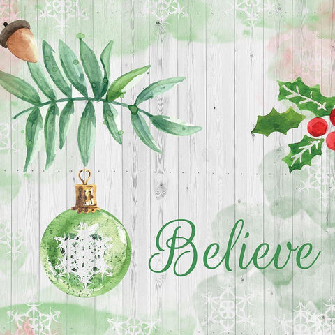 Christmas Believe Green White Modern Wood Framed Art Print with Double Matting by Fraser, Orane