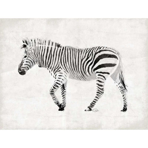 Zebra Black Modern Wood Framed Art Print with Double Matting by OnRei