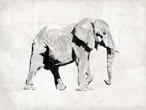 Elephant White Modern Wood Framed Art Print with Double Matting by OnRei