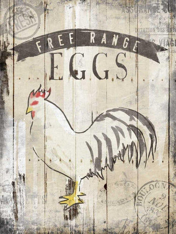 Free Range Eggs Black Ornate Wood Framed Art Print with Double Matting by OnRei