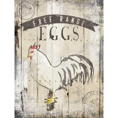 Free Range Eggs Black Modern Wood Framed Art Print with Double Matting by OnRei