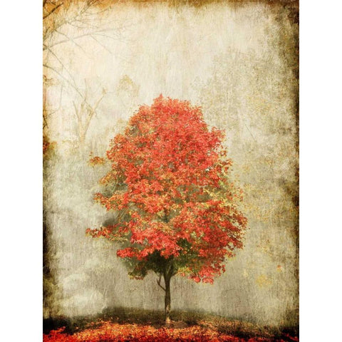 Fire Tree White Modern Wood Framed Art Print by OnRei