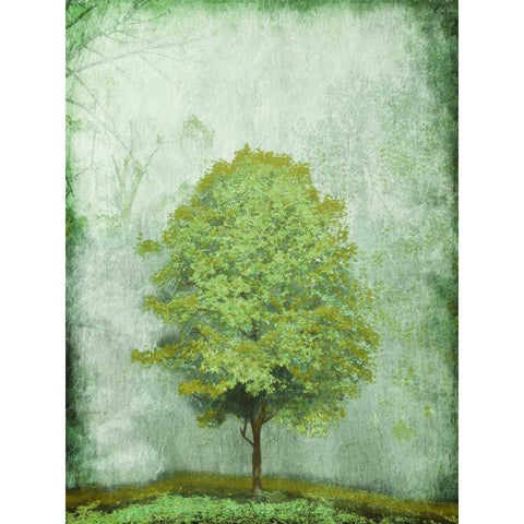 Green Tree Black Modern Wood Framed Art Print with Double Matting by OnRei