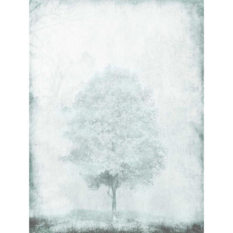 Snow Tree Black Modern Wood Framed Art Print with Double Matting by OnRei