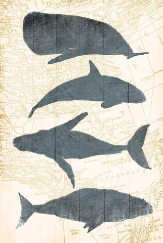 Whale Map White Modern Wood Framed Art Print with Double Matting by OnRei