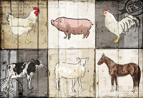 Farm Animals PM White Modern Wood Framed Art Print with Double Matting by OnRei