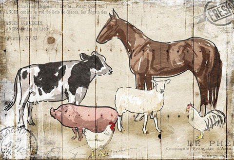 Farm Animal Crew Black Ornate Wood Framed Art Print with Double Matting by OnRei