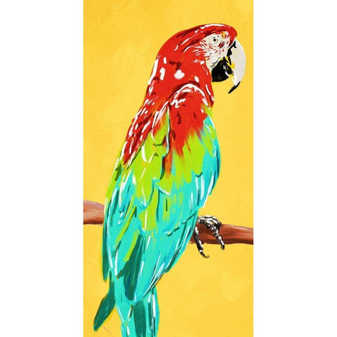 Fun Parrot 1 White Modern Wood Framed Art Print by OnRei