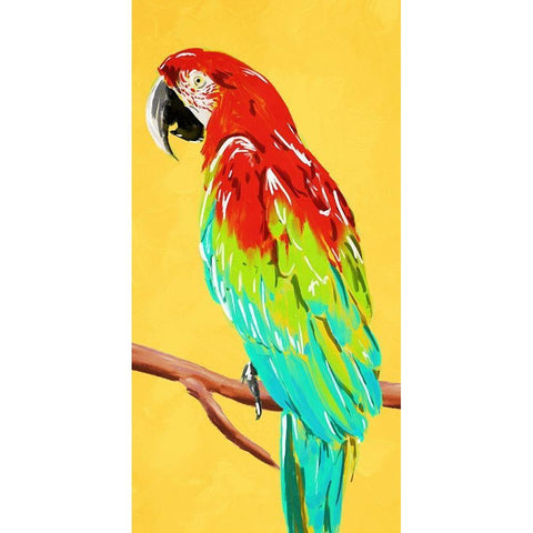 Fun Parrot 2 White Modern Wood Framed Art Print by OnRei