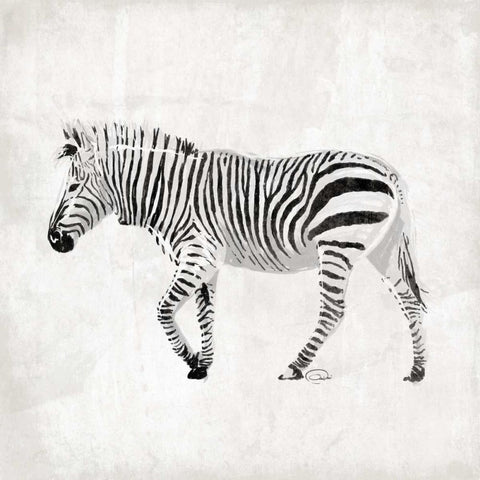 Zebra White Modern Wood Framed Art Print with Double Matting by OnRei