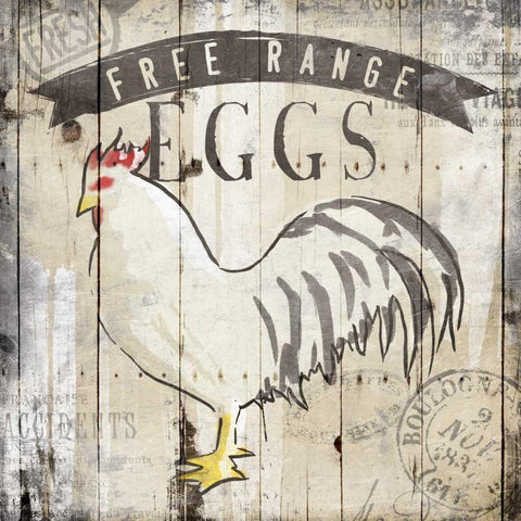 Free Range Eggs White Modern Wood Framed Art Print by OnRei