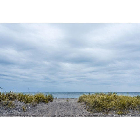 Ocean Entrance White Modern Wood Framed Art Print by Orlando