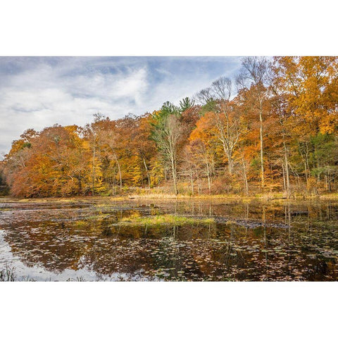 Over The Grove Gold Ornate Wood Framed Art Print with Double Matting by Orlando