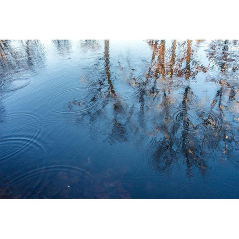 Reflect On Me Black Modern Wood Framed Art Print by Orlando