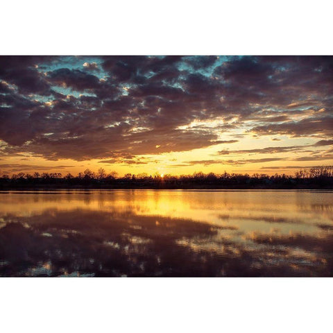 Still Time 2 Black Modern Wood Framed Art Print by Orlando