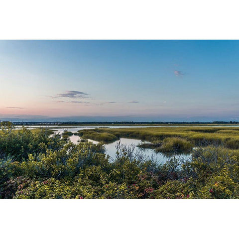 Nowhere Land Black Modern Wood Framed Art Print by Orlando