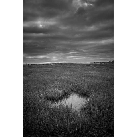 The Center Of It All Black Modern Wood Framed Art Print with Double Matting by Orlando