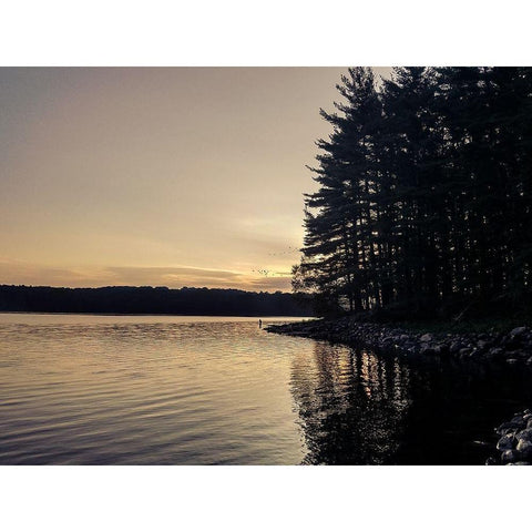 Evening Solitude I White Modern Wood Framed Art Print by Orlando